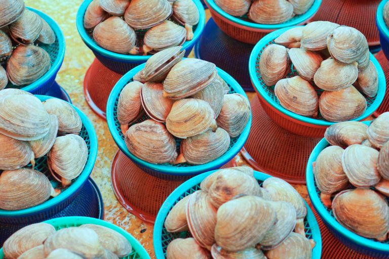 Jagalchi Market en Busan, Corea del Sur