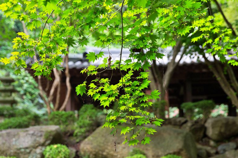 Parque Nacional de Gyeongju, Corea del Sur